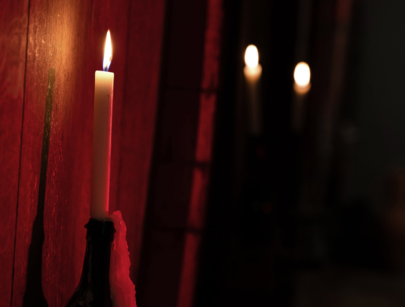 WEINPROBE & KELLERFÜHRUNG